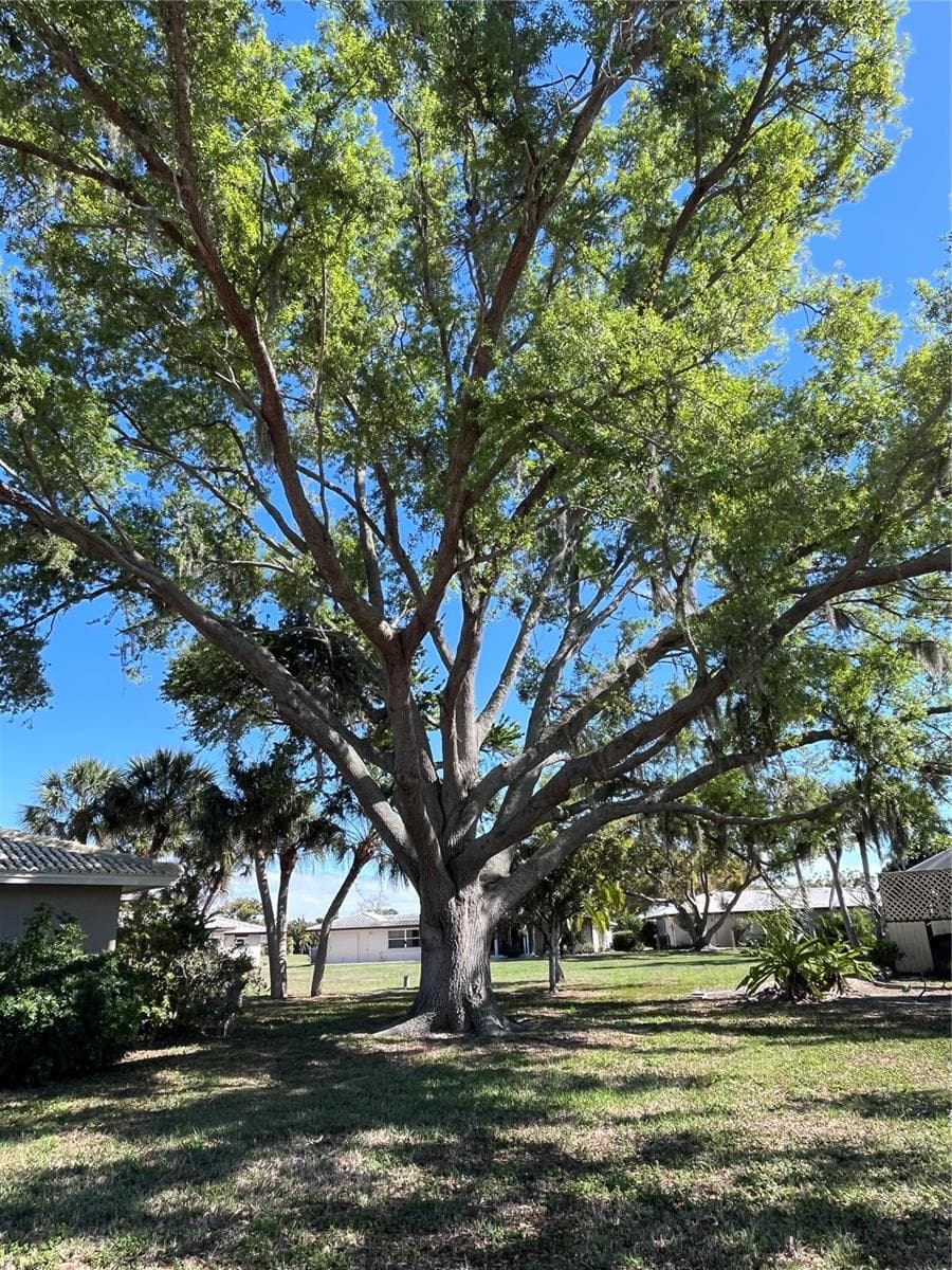Land at 618 RUBENS DR #618, NOKOMIS, photo 6 of 6