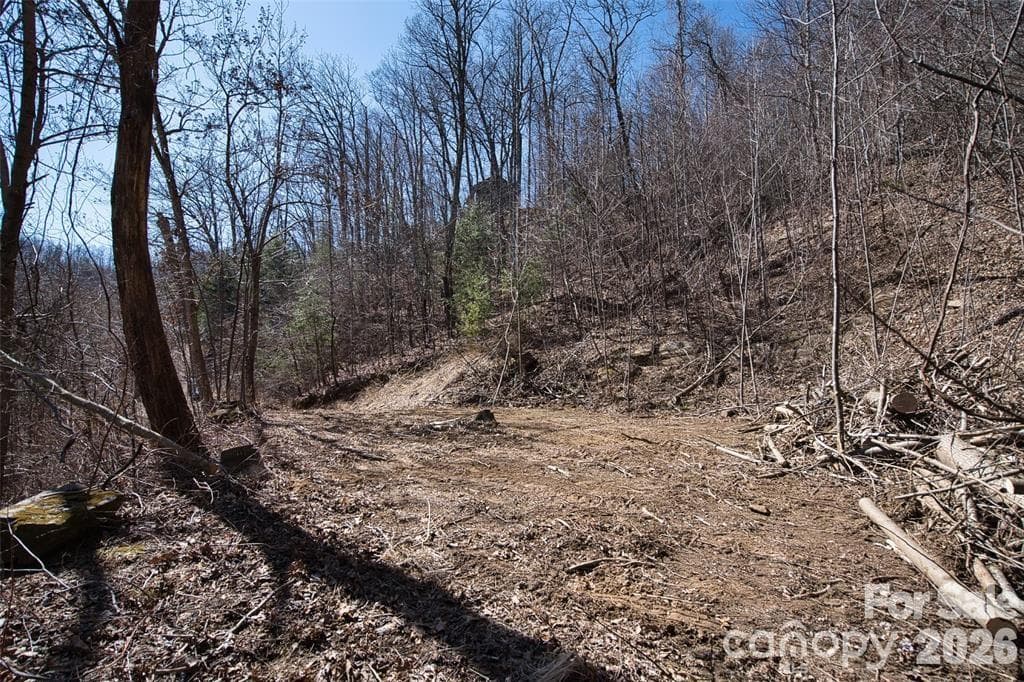 Lot at 99999 Green Ridge Falls Road, Barnardsville, photo 3 of 16