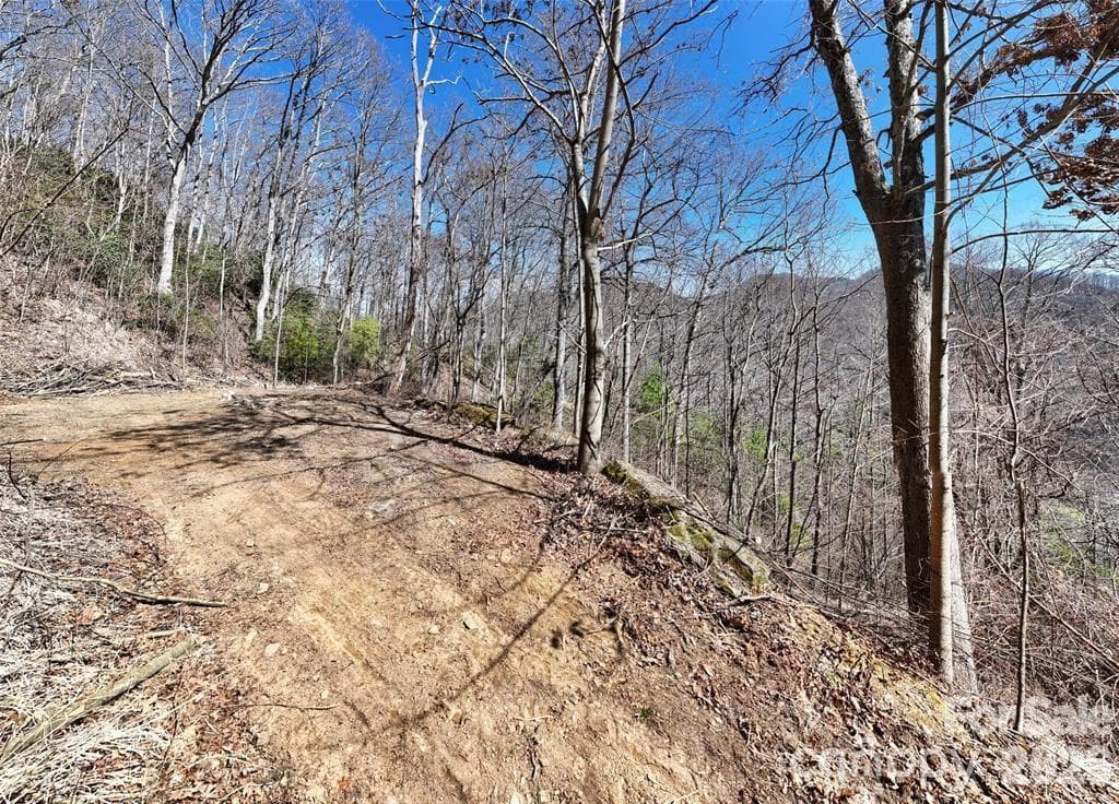 Lot at 99999 Green Ridge Falls Road, Barnardsville, photo 4 of 16