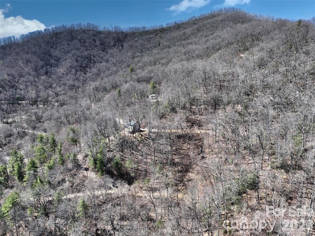 Lot at 11 Taryn Trace, Barnardsville, photo 2 of 11
