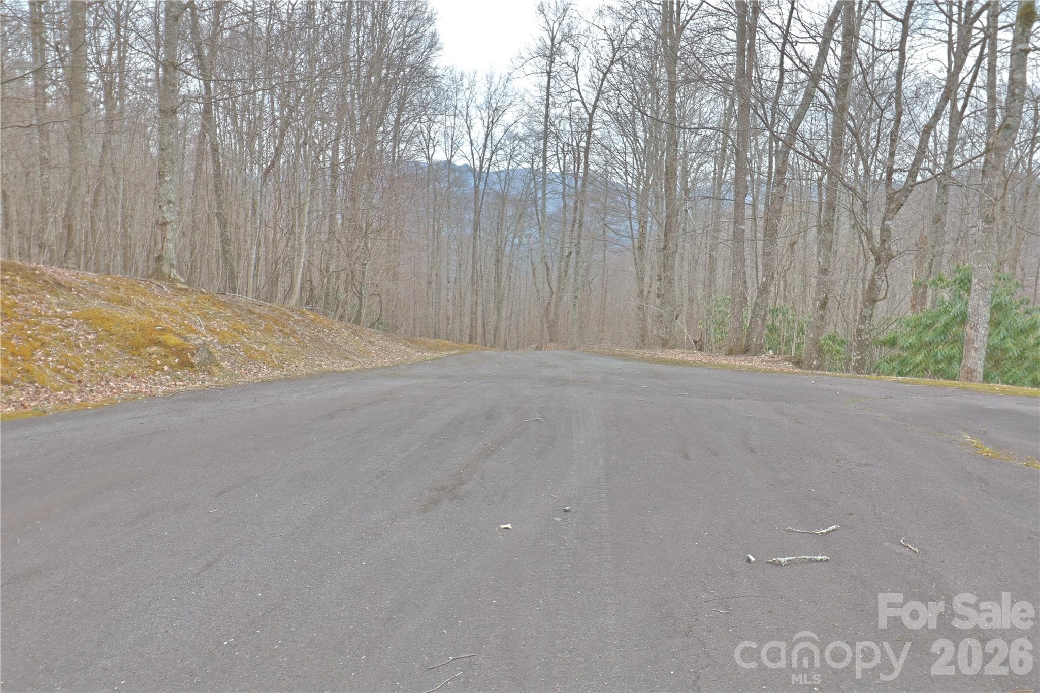 Lot at TBD Chardonnay Court, Newland, photo 2 of 9