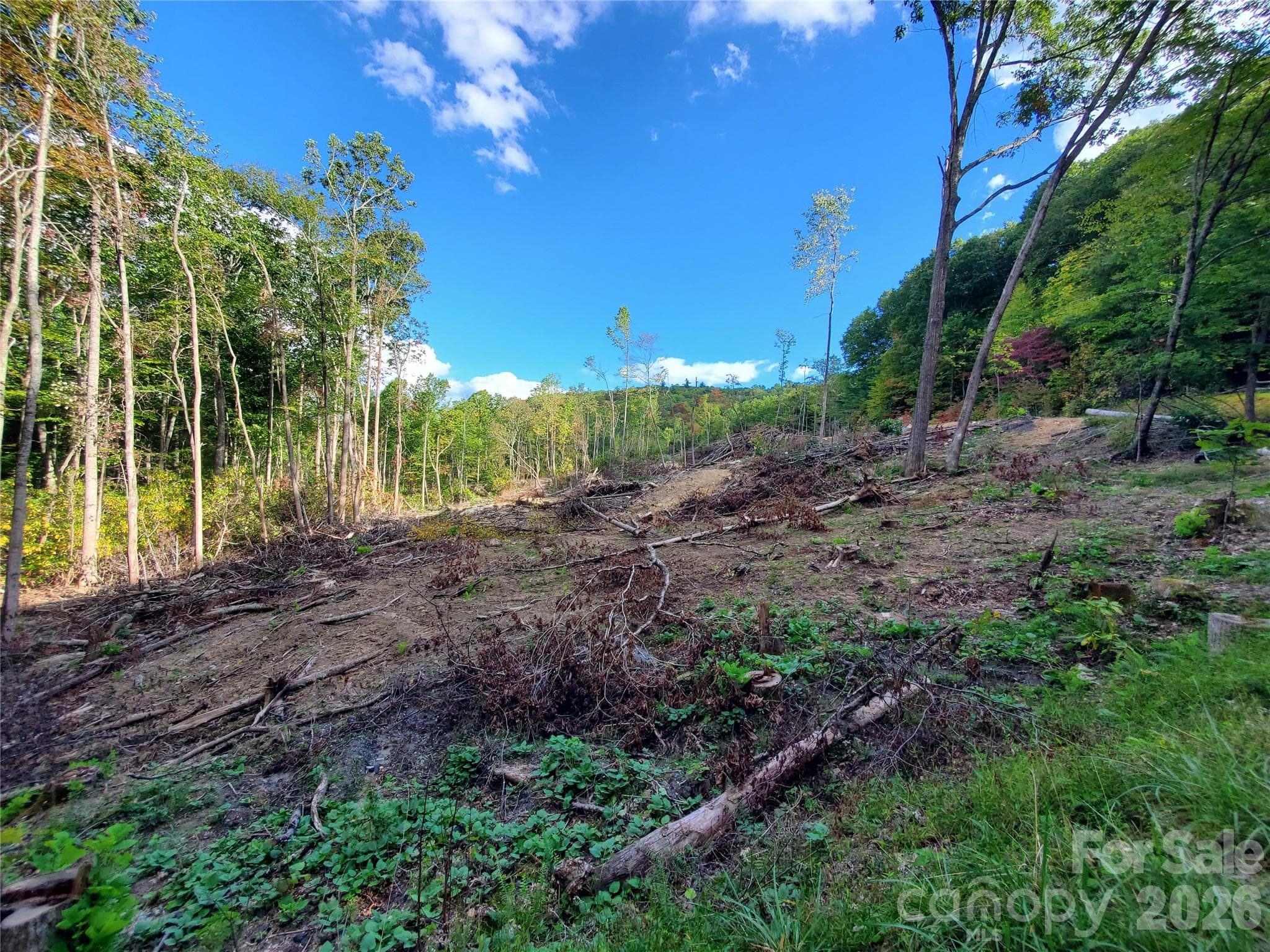 Lot at Lot 28 Parkwood Hill Road, Spruce Pine, photo 10 of 10