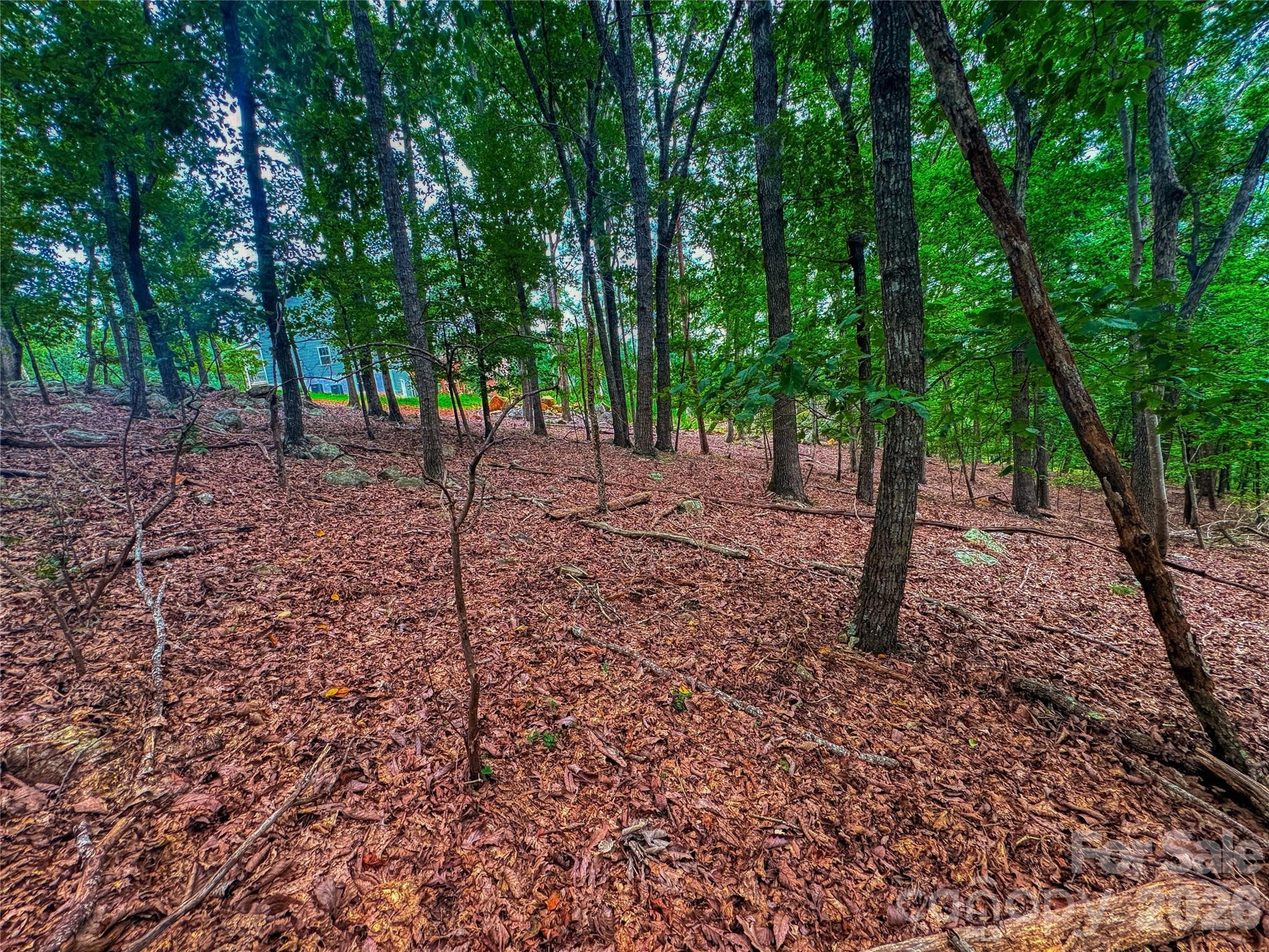 Lot at The Springs At High Rock, Denton, photo 12 of 39