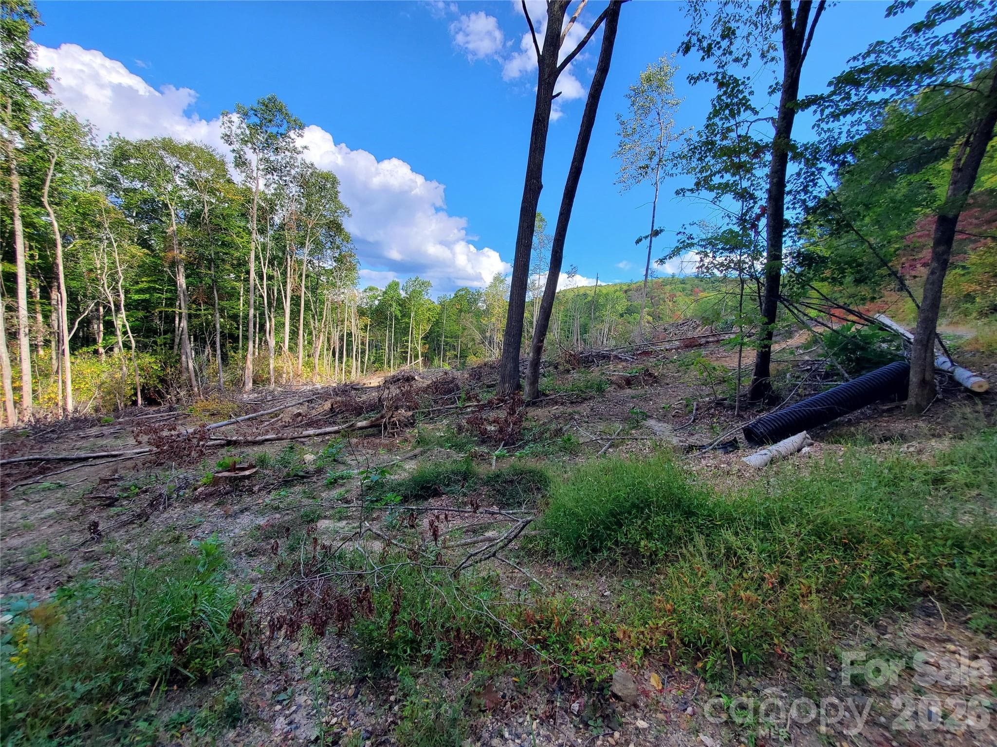Lot at Lot 32 Parkwood Hill Road, Spruce Pine, photo 9 of 10