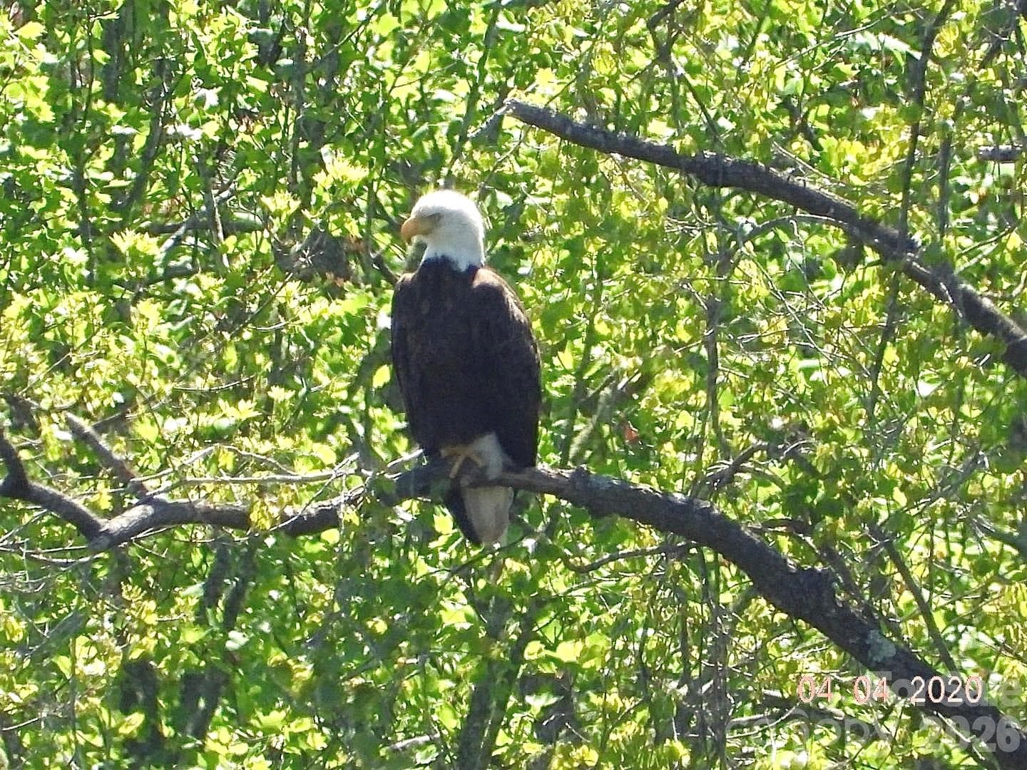 Eagle Conservancy - 312 Old Hickory Court, Fort Mill
