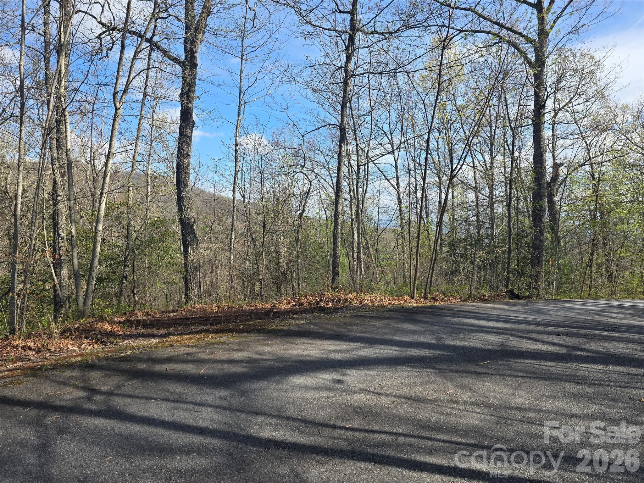 View from Top of Lot 82 - Lots 82 & 83 Waterdance Drive, Tuckasegee