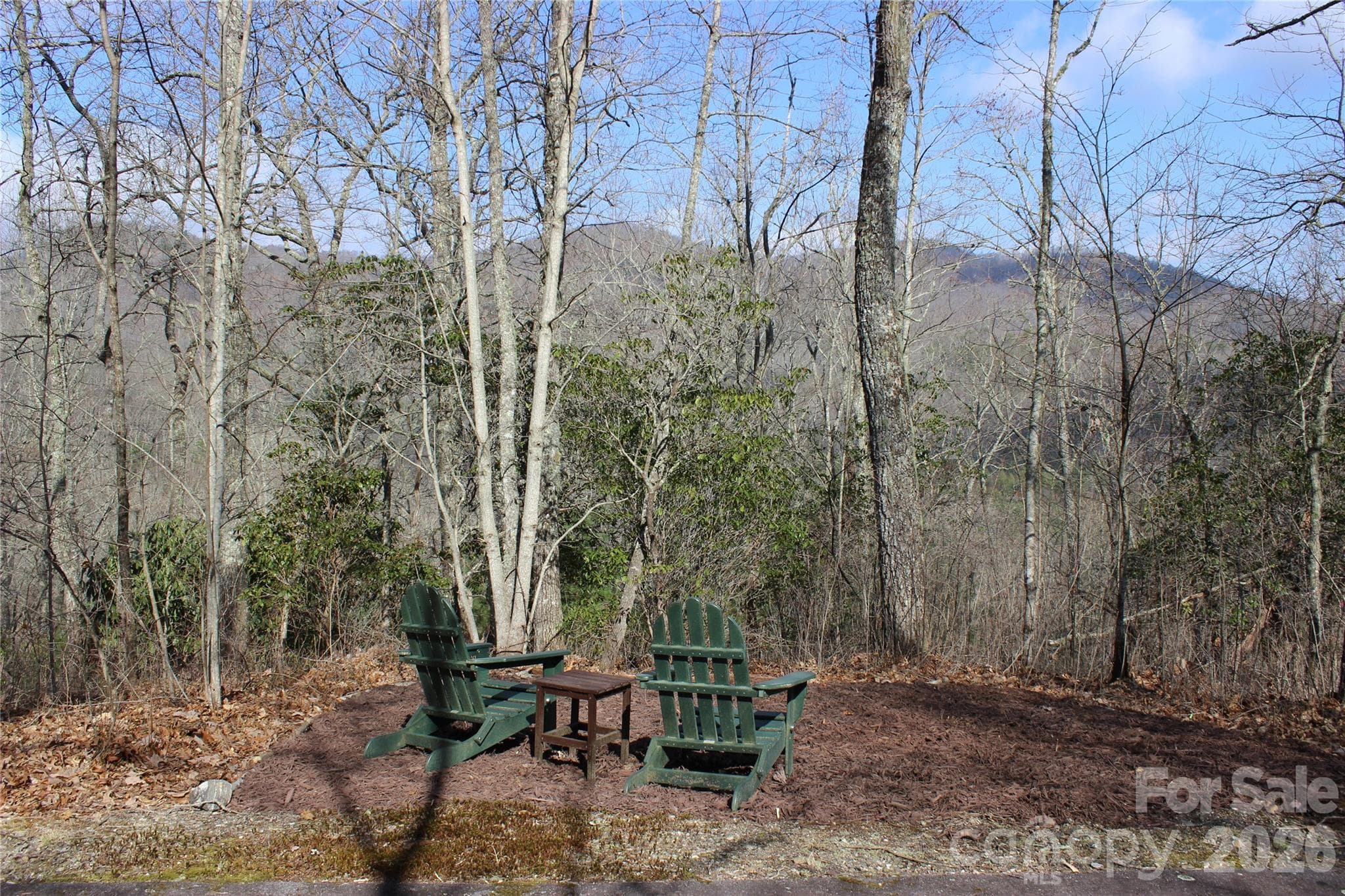 Lot at Lots 82 & 83 Waterdance Drive, Tuckasegee, photo 3 of 25