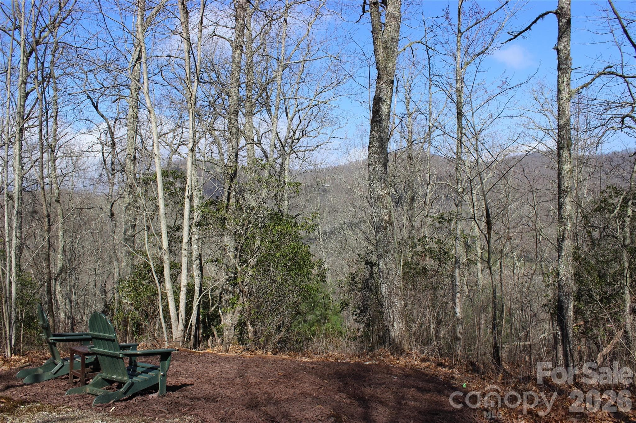 Lot at Lots 82 & 83 Waterdance Drive, Tuckasegee, photo 4 of 25
