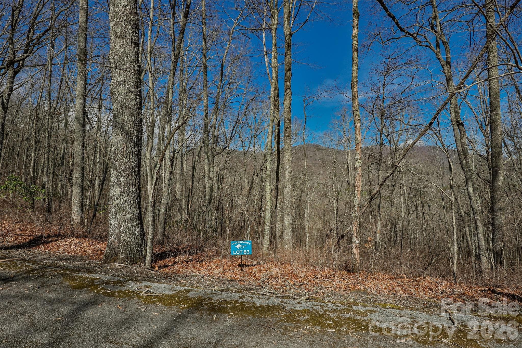 Lot 83 - Lots 82 & 83 Waterdance Drive, Tuckasegee