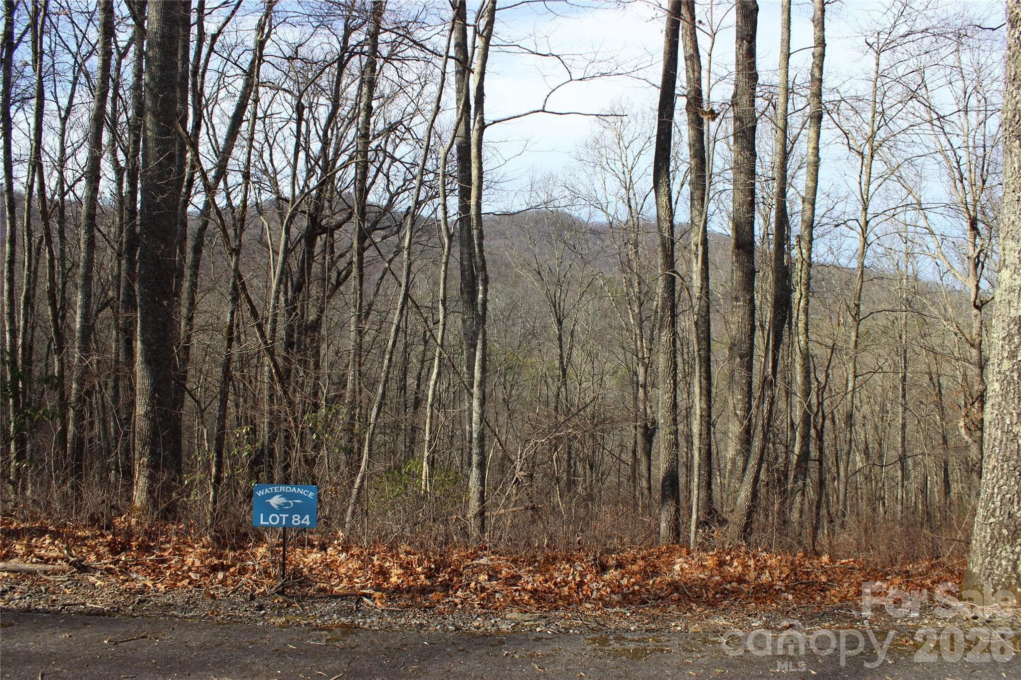 Lot at Lots 82 & 83 Waterdance Drive, Tuckasegee, photo 6 of 25