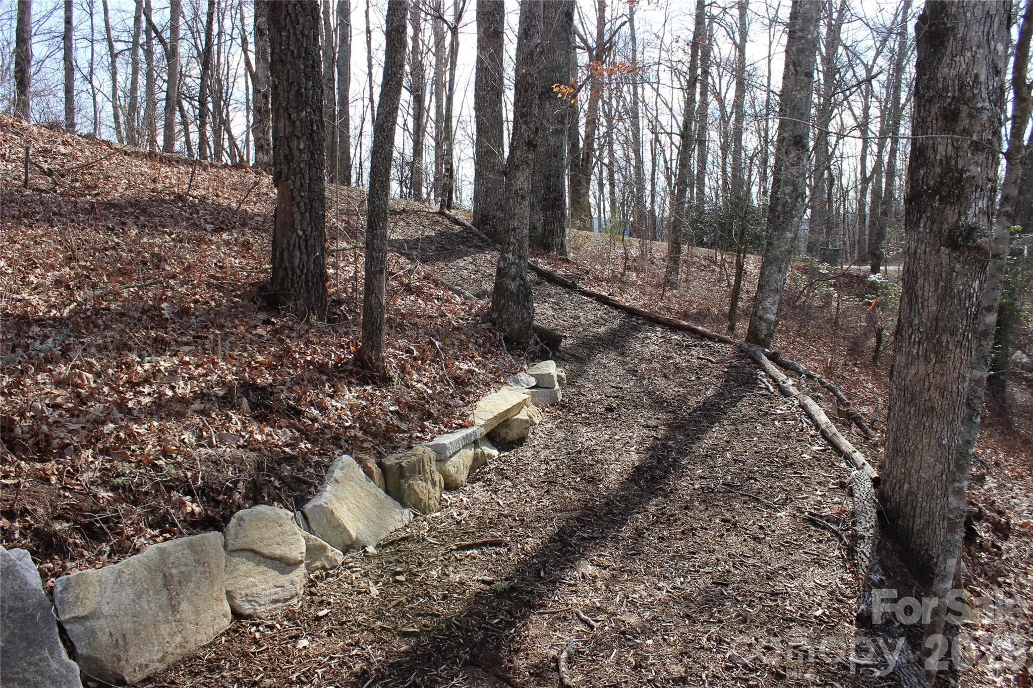 Lot at Lots 82 & 83 Waterdance Drive, Tuckasegee, photo 7 of 25