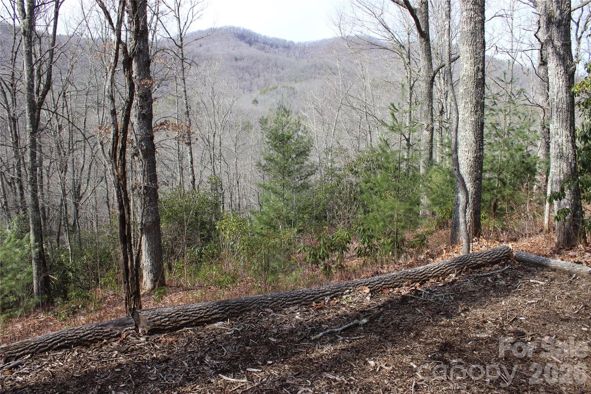 Lot at Lots 82 & 83 Waterdance Drive, Tuckasegee, photo 9 of 25