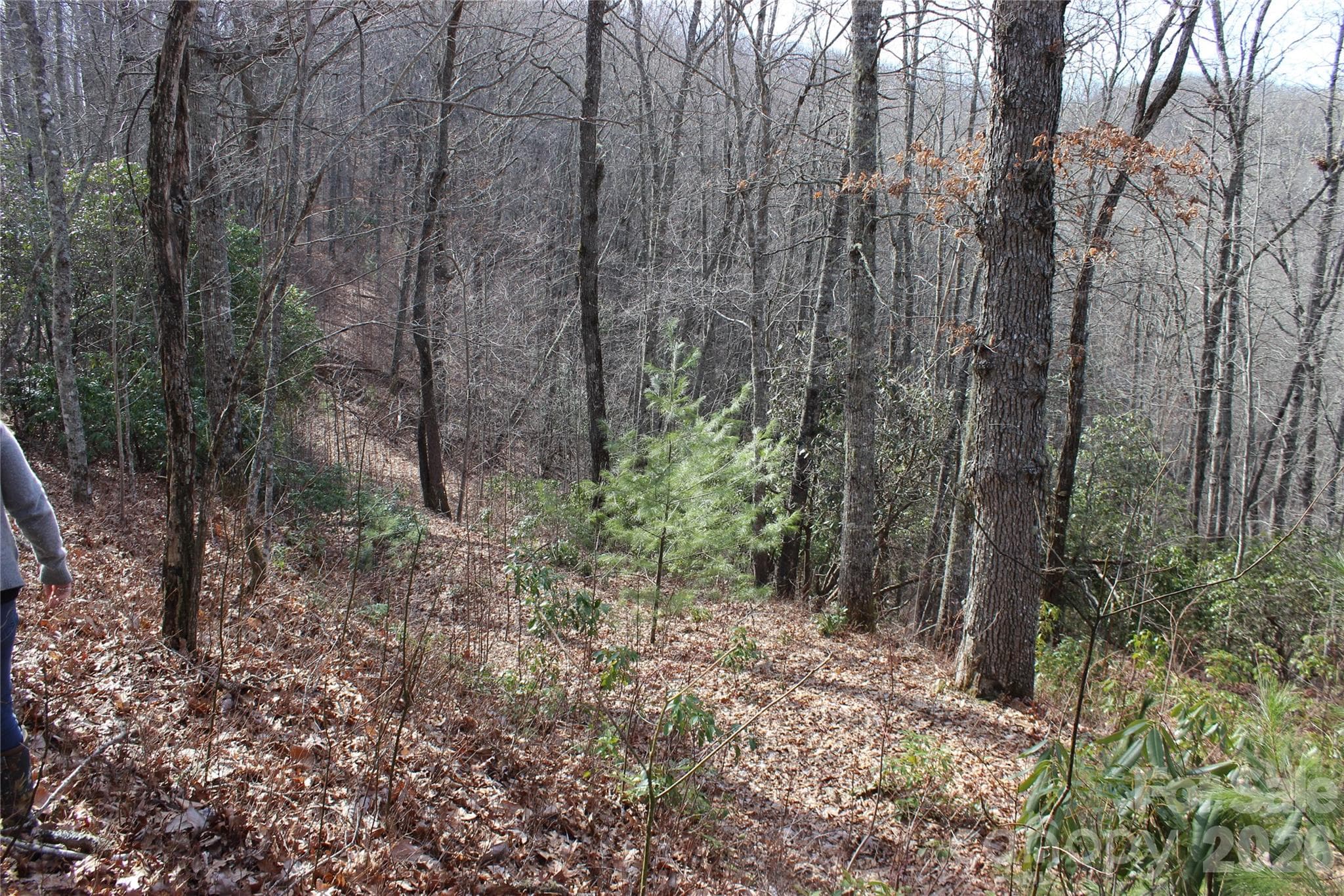 Lot at Lots 82 & 83 Waterdance Drive, Tuckasegee, photo 11 of 25
