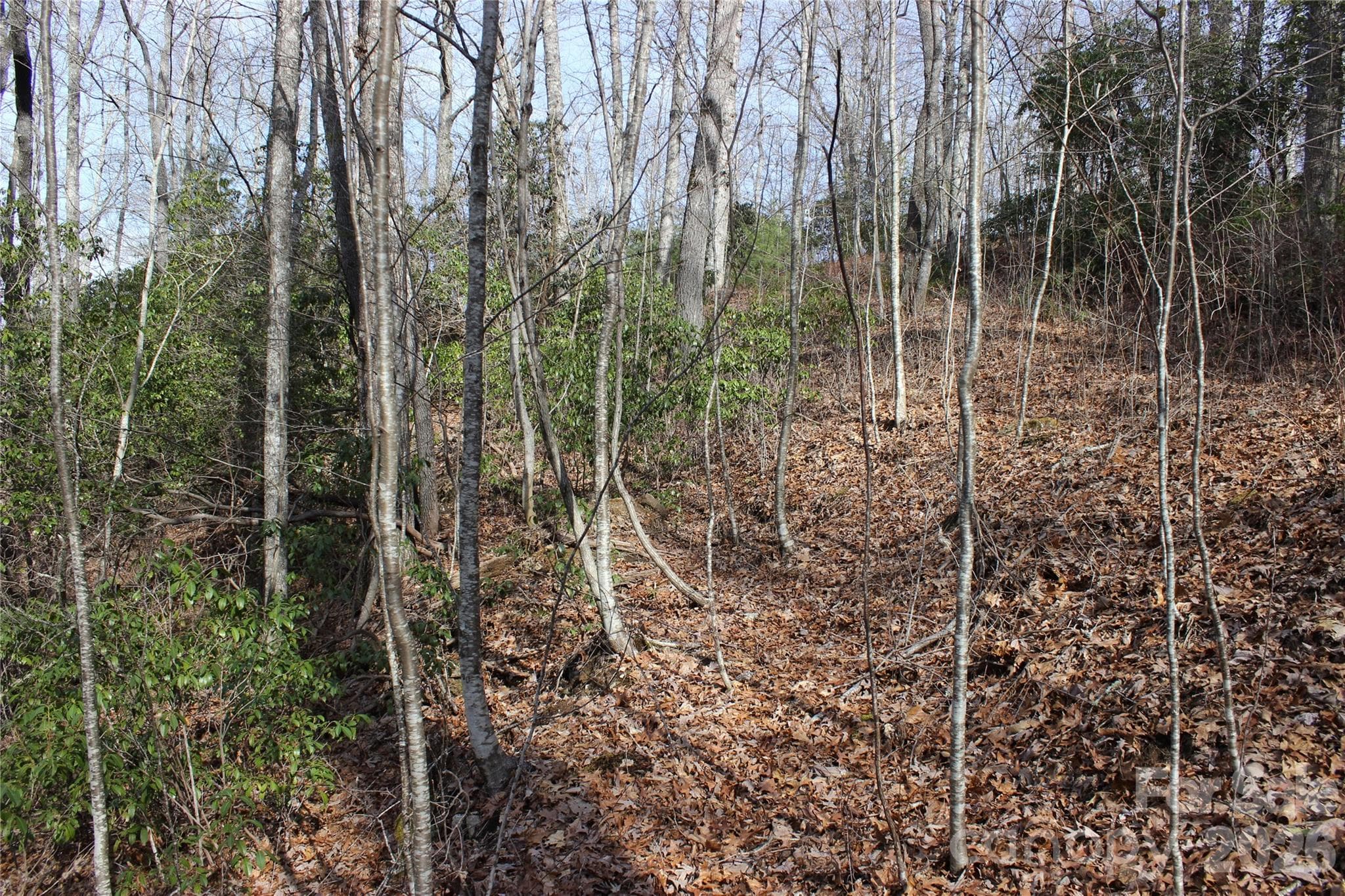 Lot at Lots 82 & 83 Waterdance Drive, Tuckasegee, photo 12 of 25