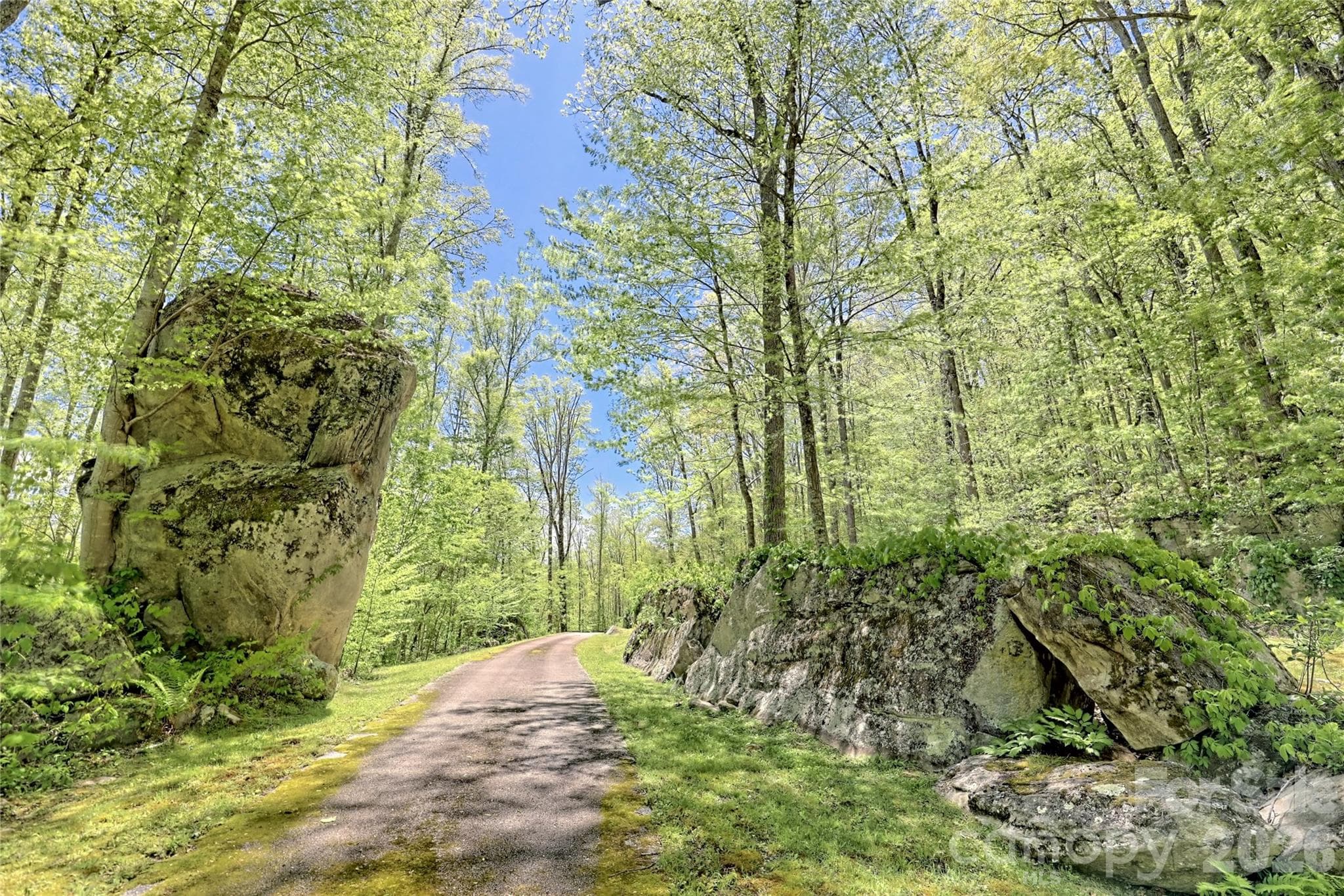 Community "Rock Garden" Area - Lots 82 & 83 Waterdance Drive, Tuckasegee