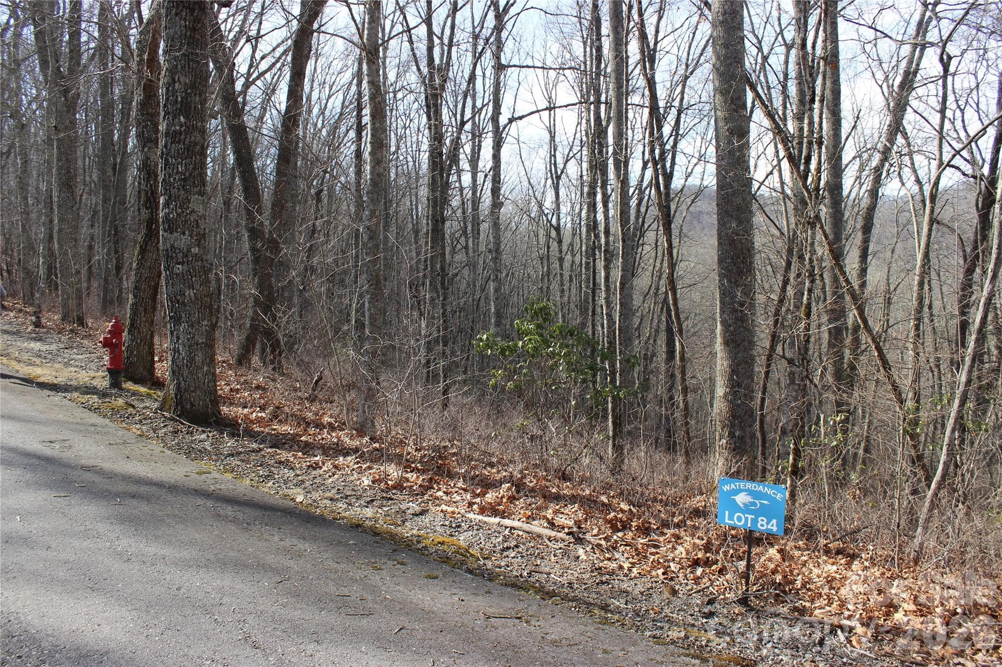 Lot at Lot 84 Waterdance Drive, Tuckasegee, photo 2 of 19