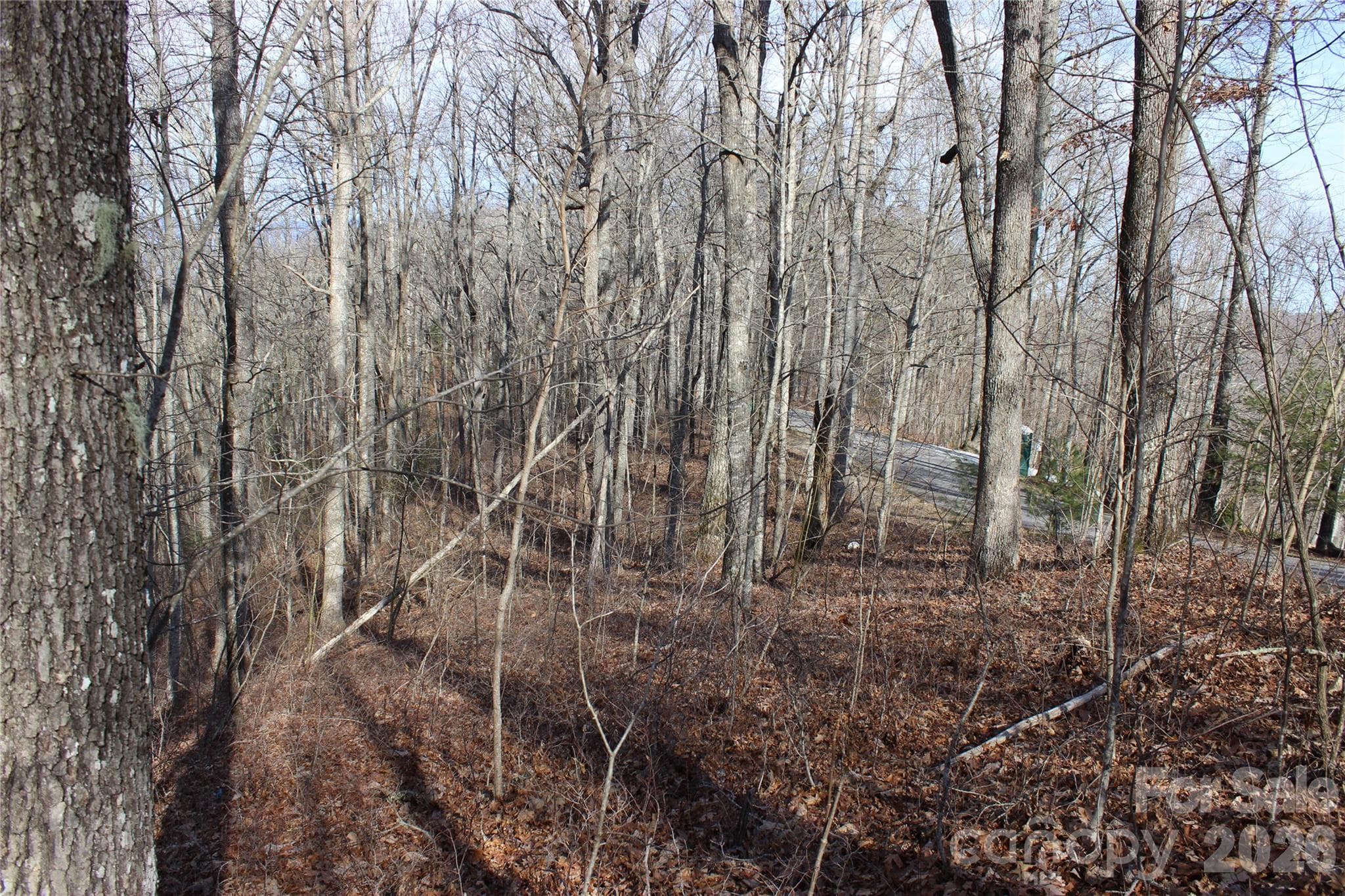 Lot at Lot 84 Waterdance Drive, Tuckasegee, photo 3 of 19
