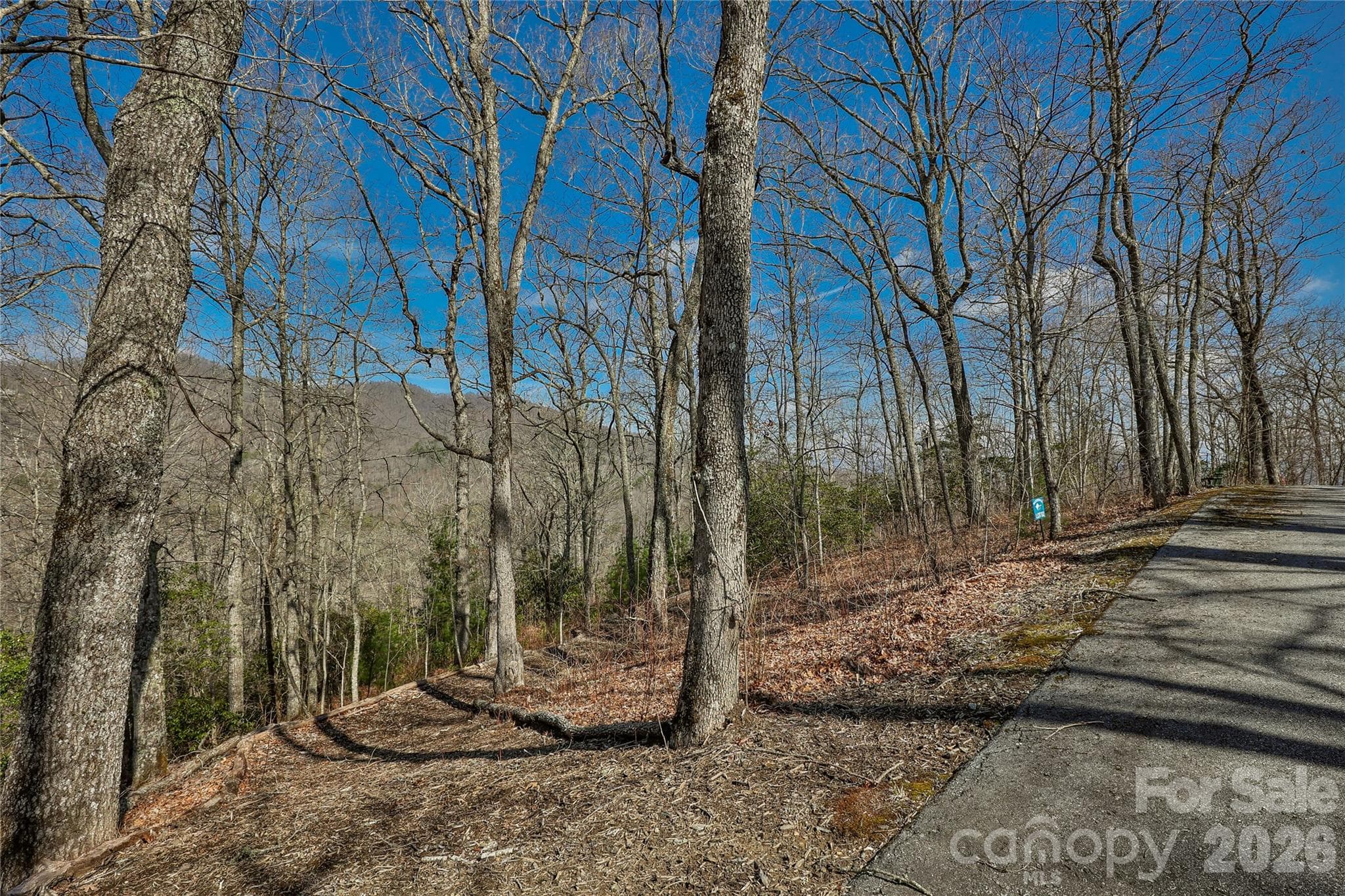 View from Lot 85 - Lot 85 Waterdance Drive, Tuckasegee