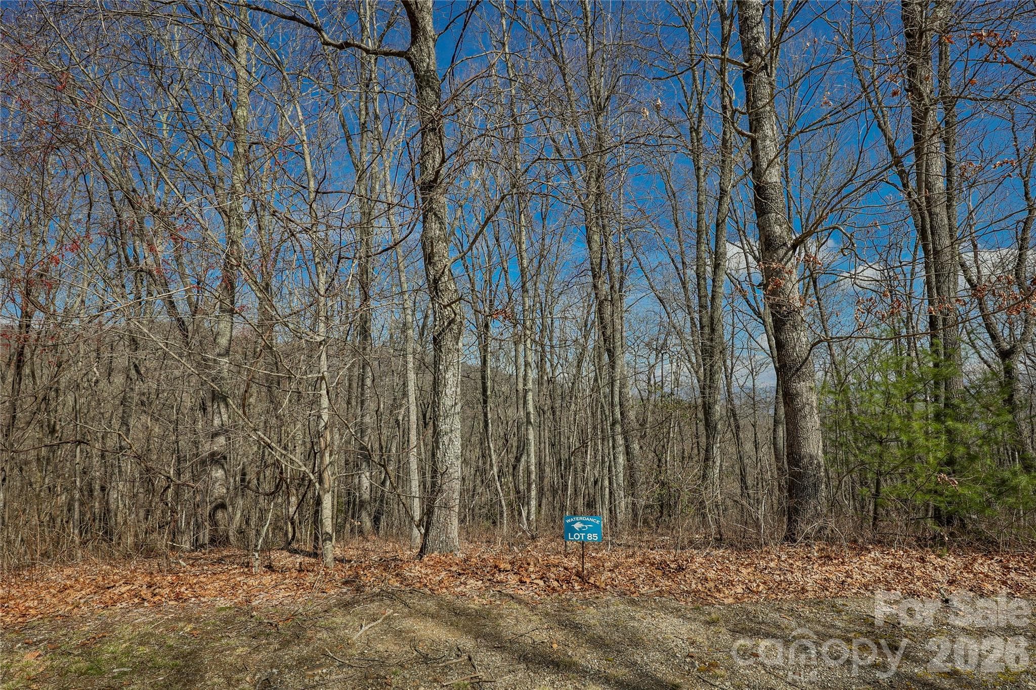 Lot 85 - Lot 85 Waterdance Drive, Tuckasegee