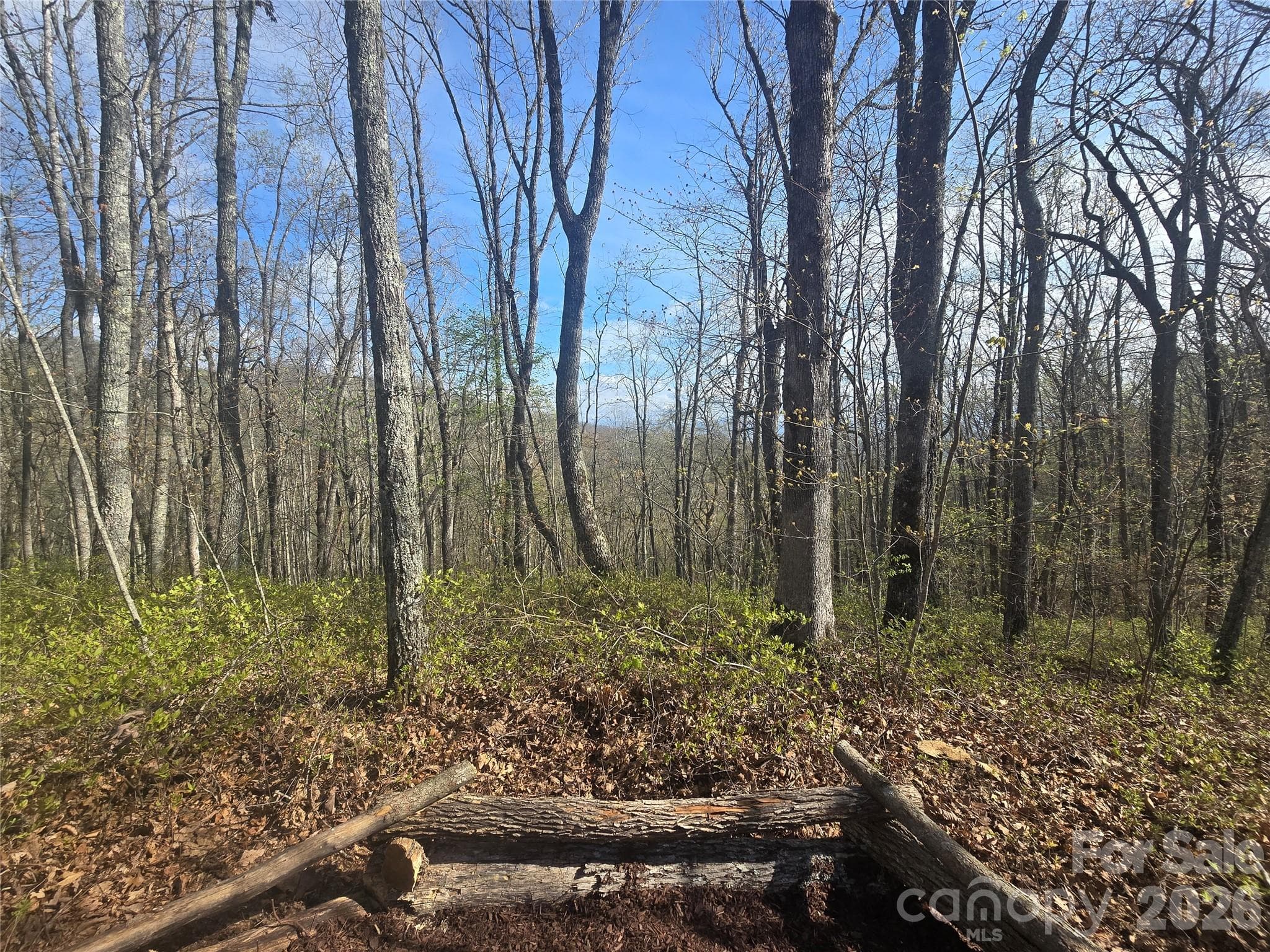 View from Lot 85 - Lot 85 Waterdance Drive, Tuckasegee