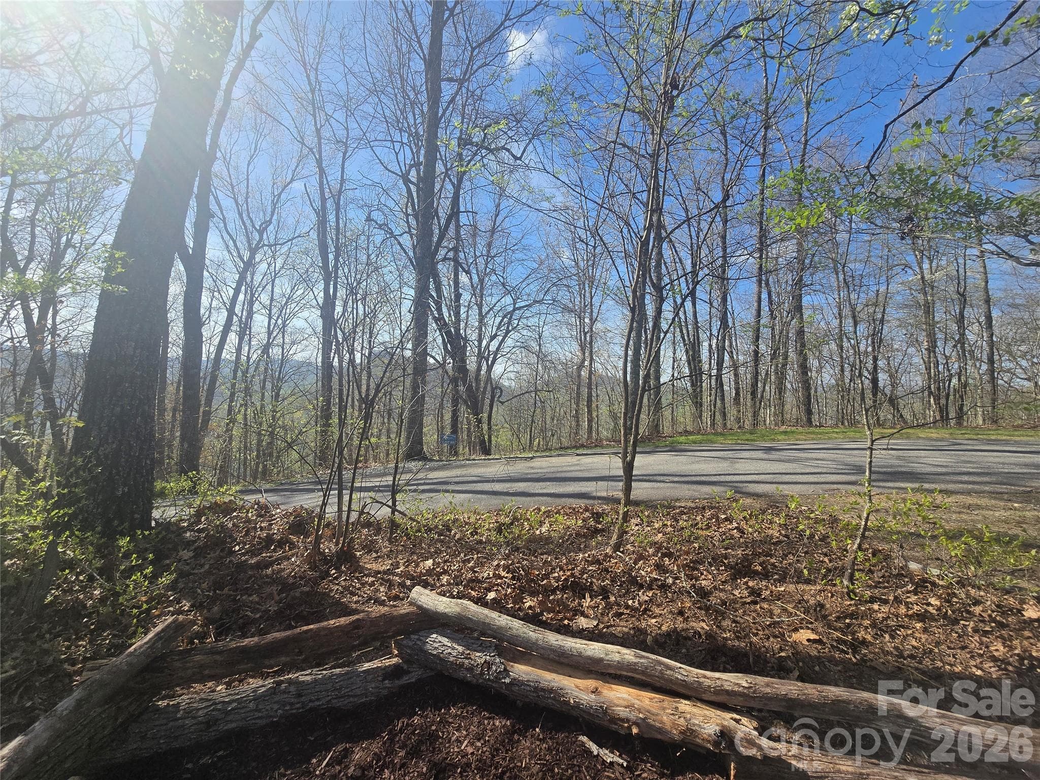 View from Lot 85 - Lot 85 Waterdance Drive, Tuckasegee