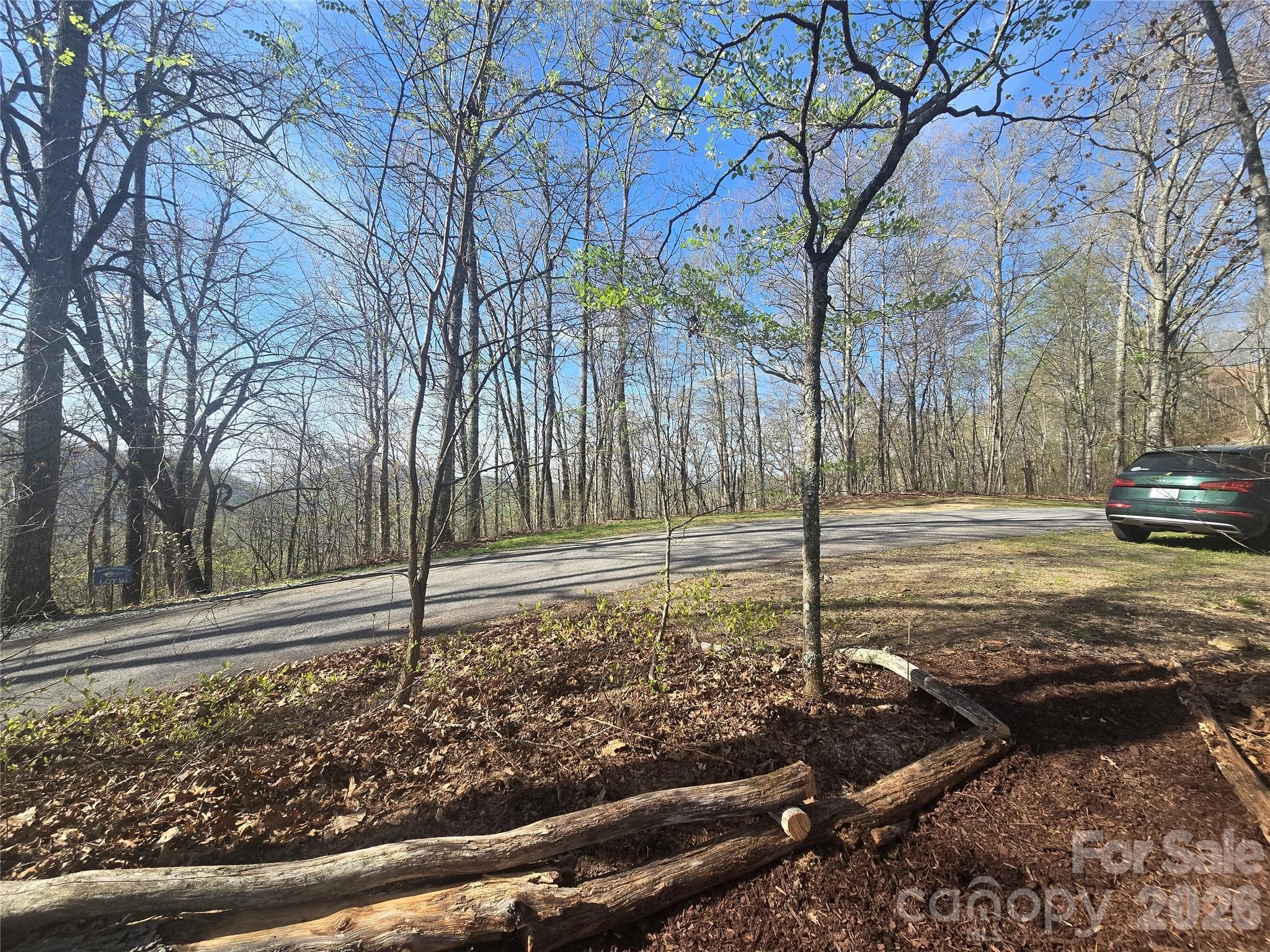 View from Lot 85 - Lot 85 Waterdance Drive, Tuckasegee