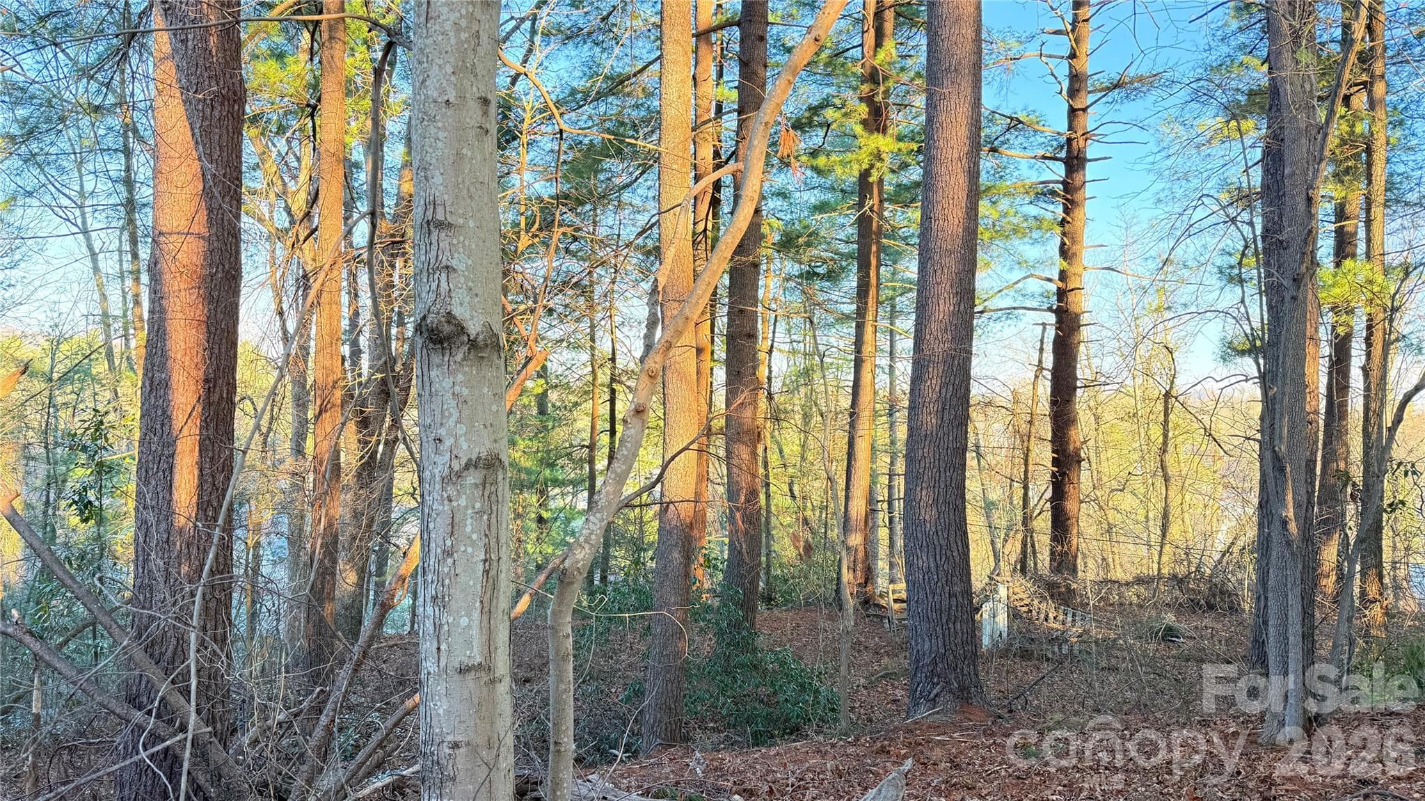 Lot at Hendersonville, photo 4 of 24
