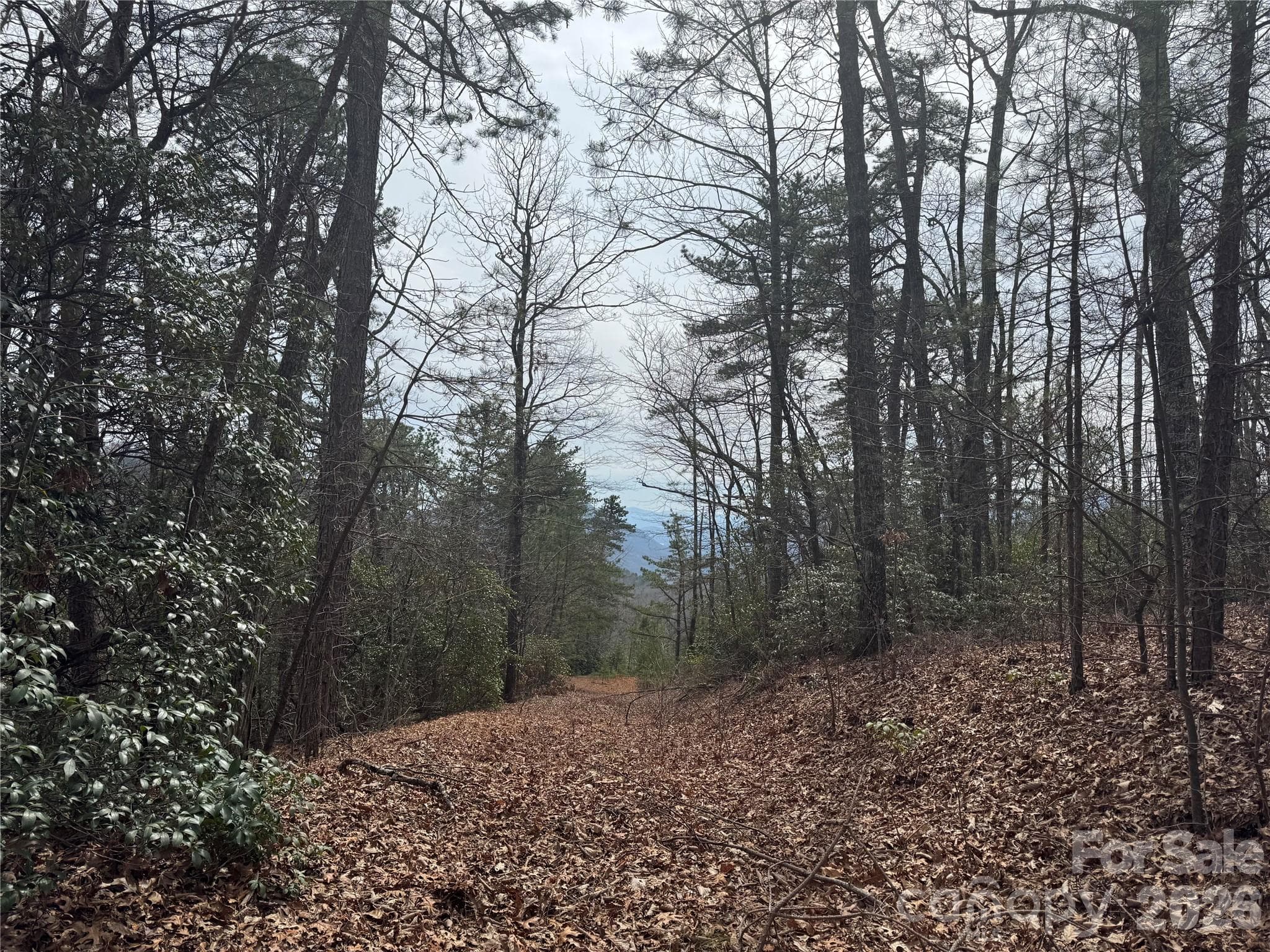 Rough driveway - Old Fort