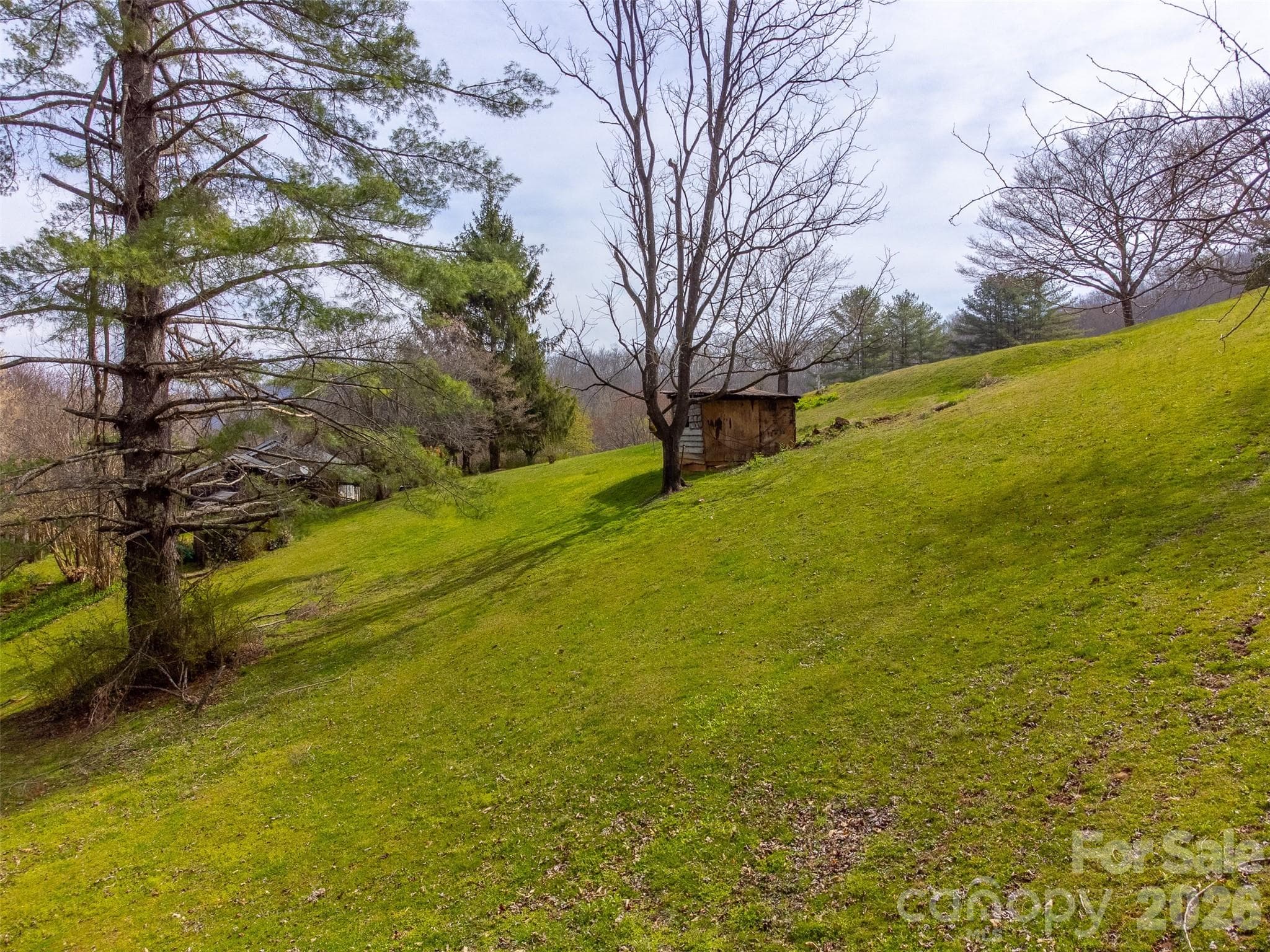 Single Family Residence at Sylva, photo 39 of 47