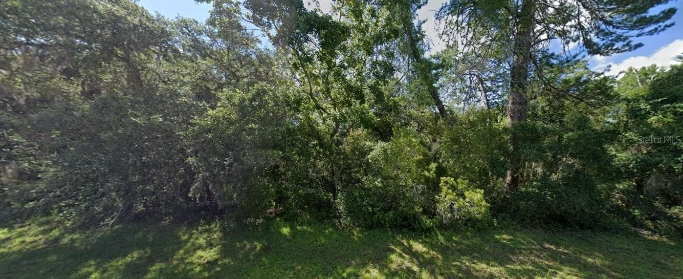 Land at SW 19TH AVENUE RD, OCALA, photo 3 of 3