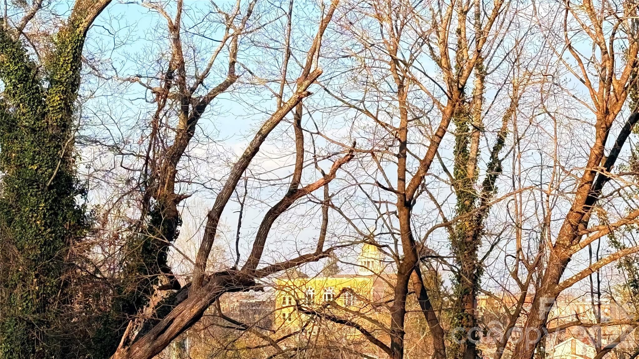 Lot at Hendersonville, photo 3 of 24
