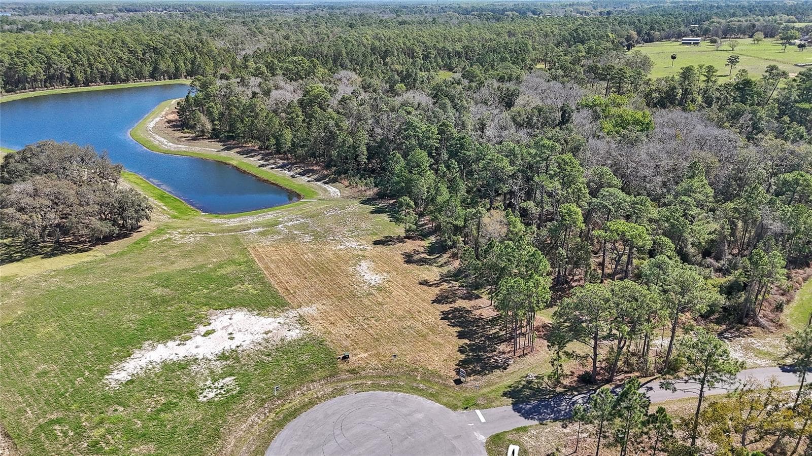 Land at 20280 SHORELINE RANCH LN, UMATILLA, photo 7 of 12