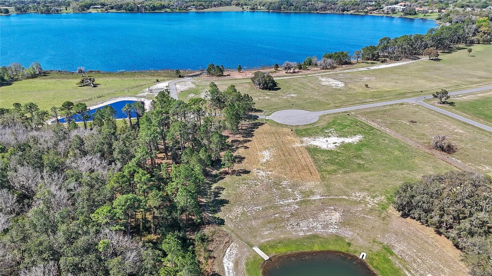 Land at 20280 SHORELINE RANCH LN, UMATILLA, photo 12 of 12