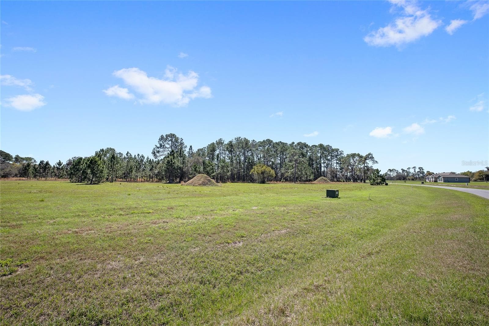 Land at 38514 WOODED MEADOW DR, UMATILLA, photo 2 of 11