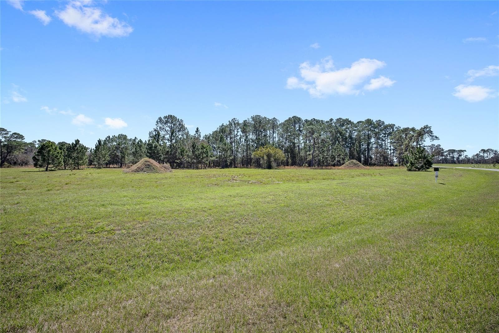 Land at 38514 WOODED MEADOW DR, UMATILLA, photo 3 of 11