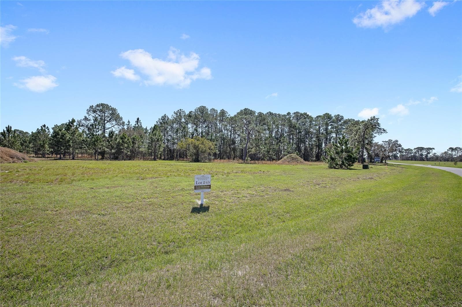 Land at 38514 WOODED MEADOW DR, UMATILLA, photo 4 of 11