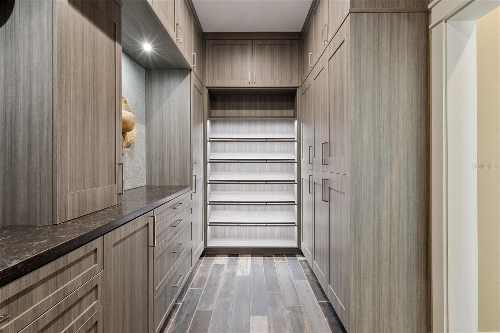 Master Bedroom custom closet - 15503 TROTTING HORSE LN, TAVARES
