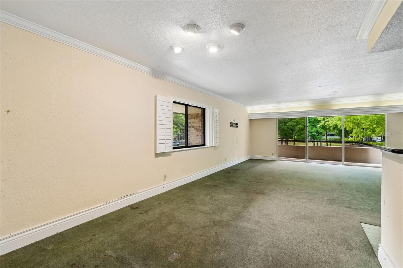 Condominium at 36750 US HIGHWAY 19 N #8-202, PALM HARBOR, photo 11 of 82