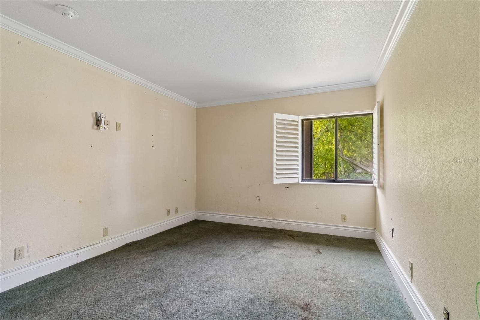 Condominium at 36750 US HIGHWAY 19 N #8-202, PALM HARBOR, photo 27 of 82