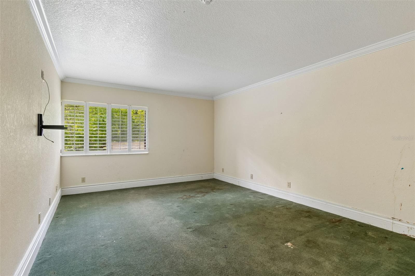Condominium at 36750 US HIGHWAY 19 N #8-202, PALM HARBOR, photo 34 of 82