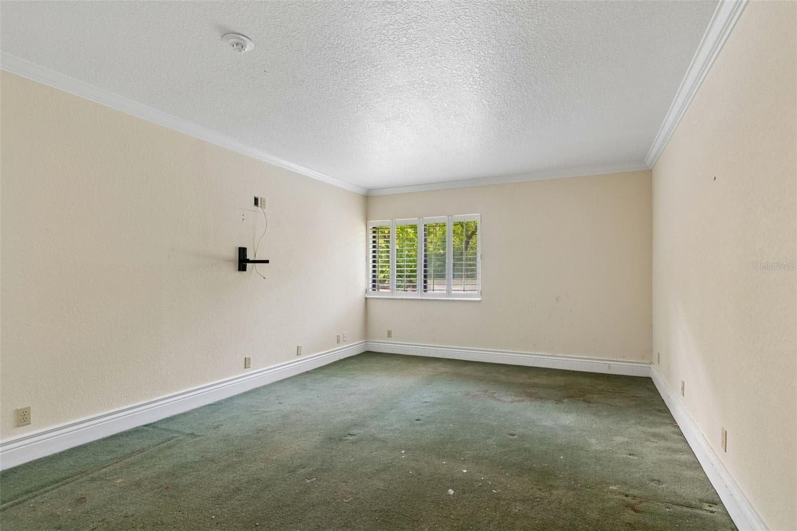 Condominium at 36750 US HIGHWAY 19 N #8-202, PALM HARBOR, photo 36 of 82