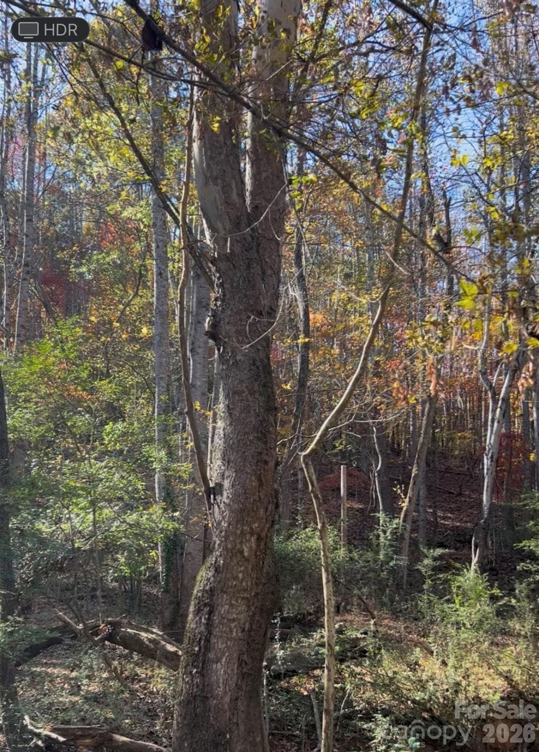 Acreage at Albemarle, photo 2 of 4