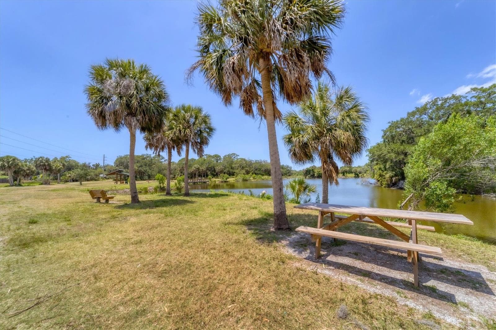 picnic area in the preserve - 3351 THORNWOOD RD #3351, SARASOTA