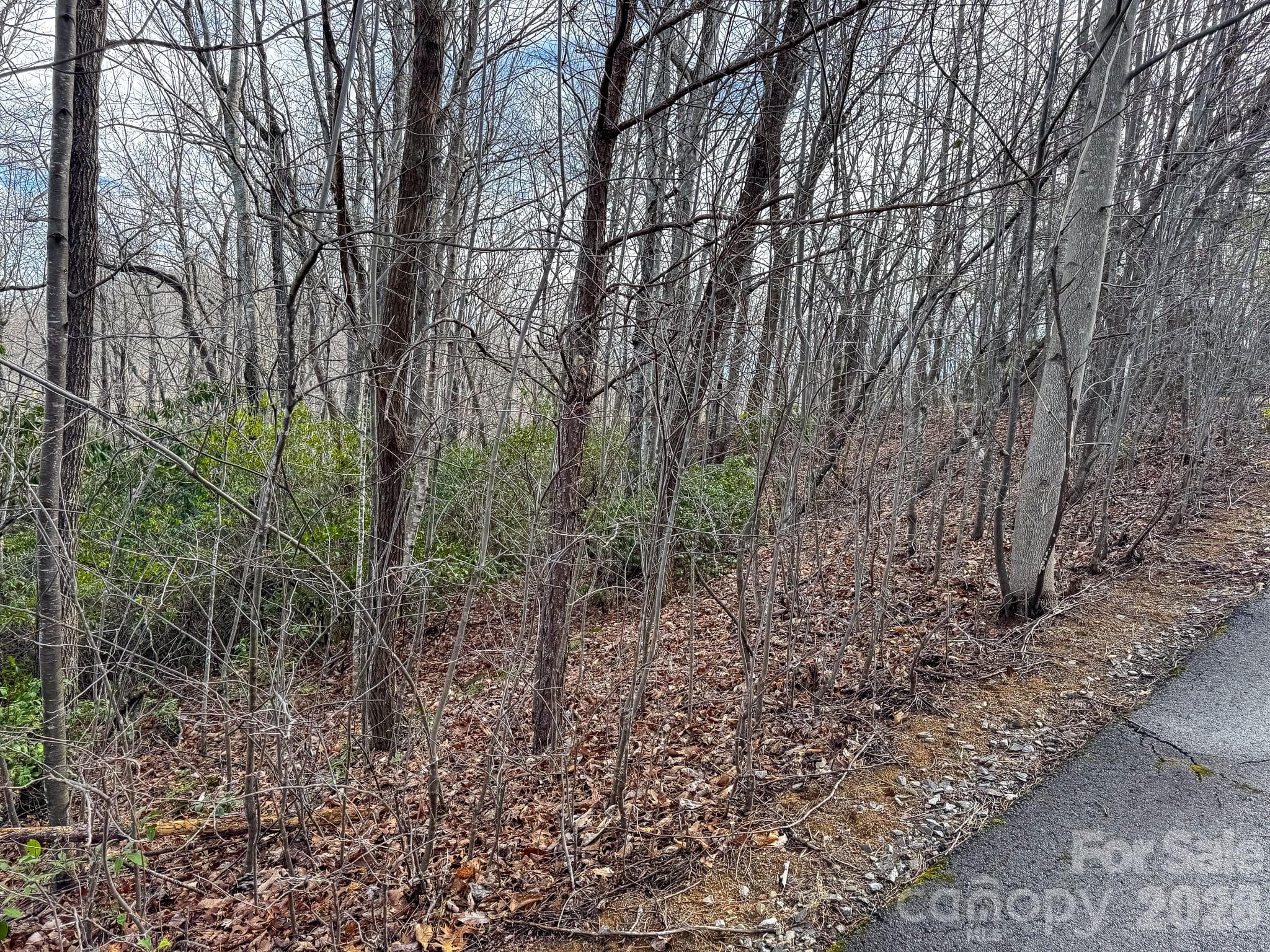 Lot at Black Mountain, photo 2 of 6