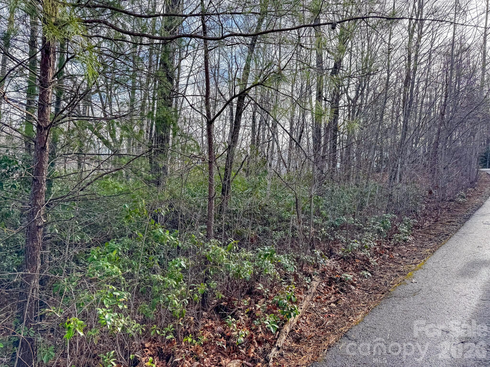 Lot at Black Mountain, photo 3 of 6