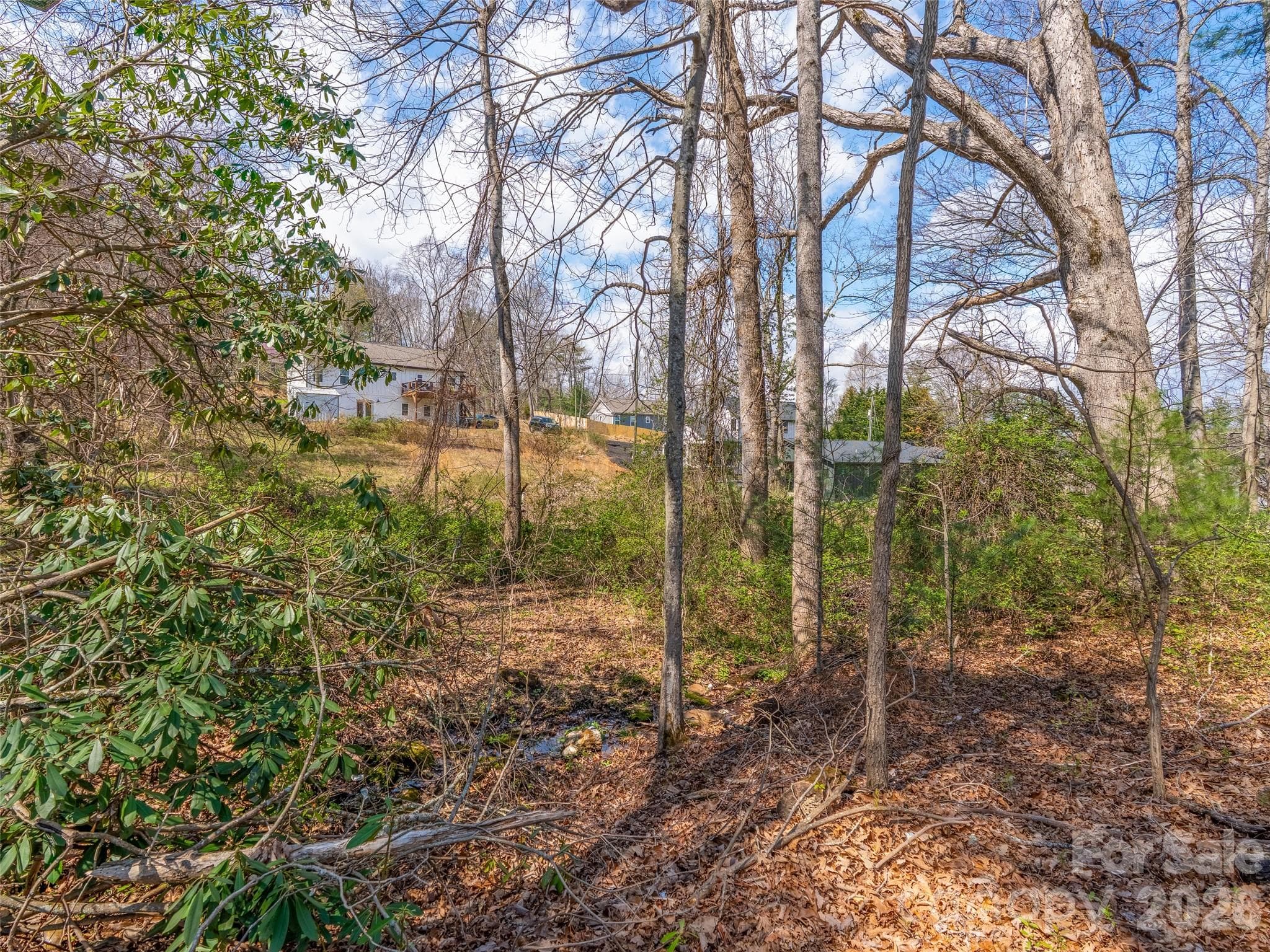 Land facing build site - Asheville