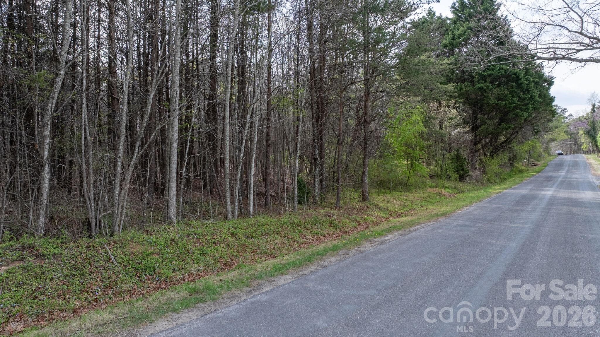 Acreage at TBD Joe Branch Road, Nebo, photo 11 of 20