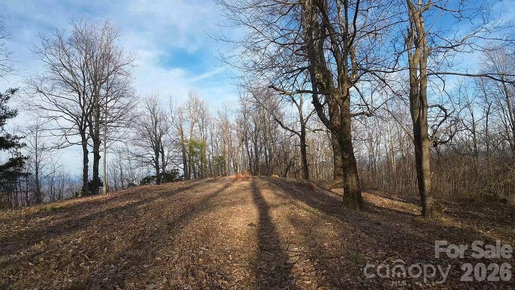 Acreage at Morganton, photo 4 of 9