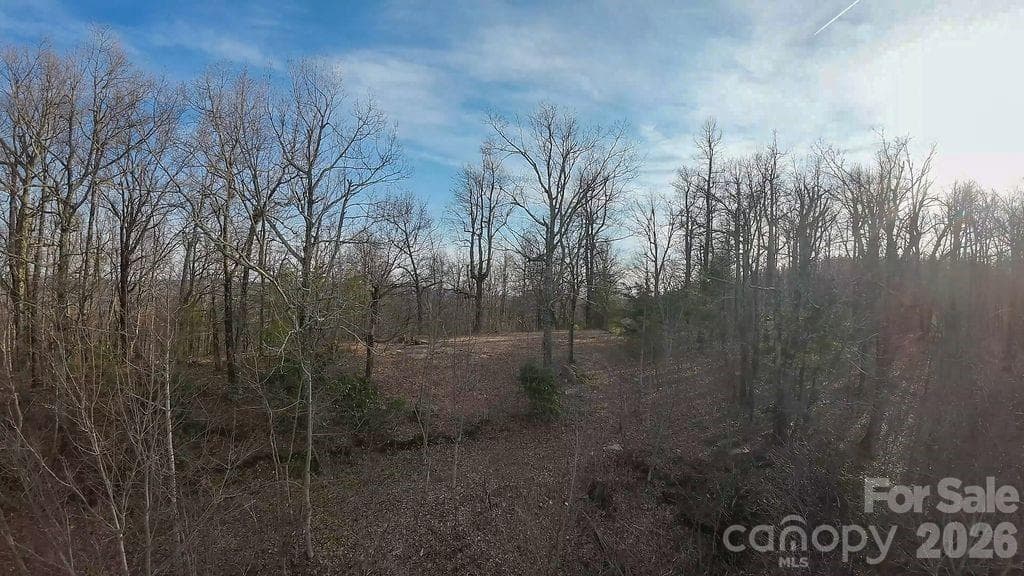 Acreage at Morganton, photo 6 of 9