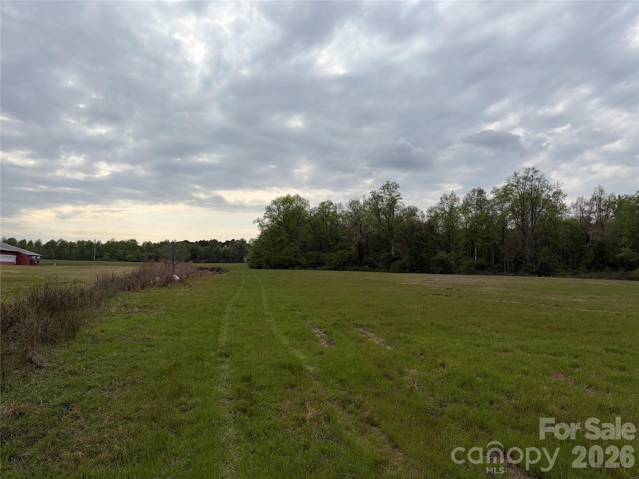 Acreage at 00 Robinson Bridge Road, Morven, photo 4 of 10